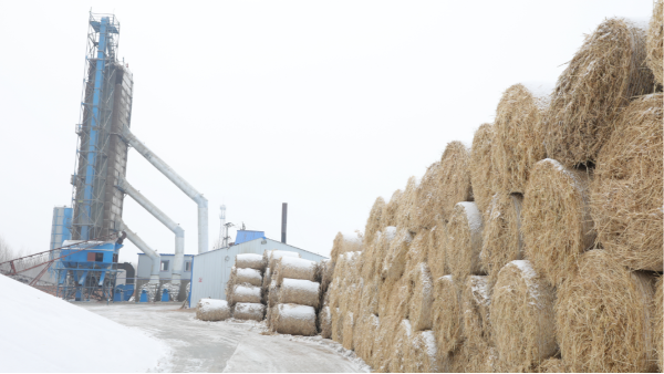 煤炭價格高，烘糧利潤低，吉林大安市500噸糧食烘干塔改用秸稈大包直燃鍋爐，每天省3萬